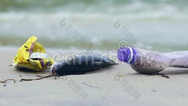 肮脏的海洋海岸带死鱼，海浪捡起碎片和垃圾，生态